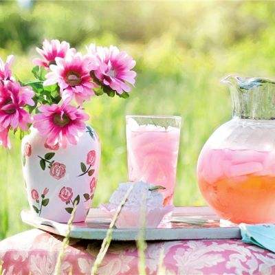 火鸡英雄传手游下载